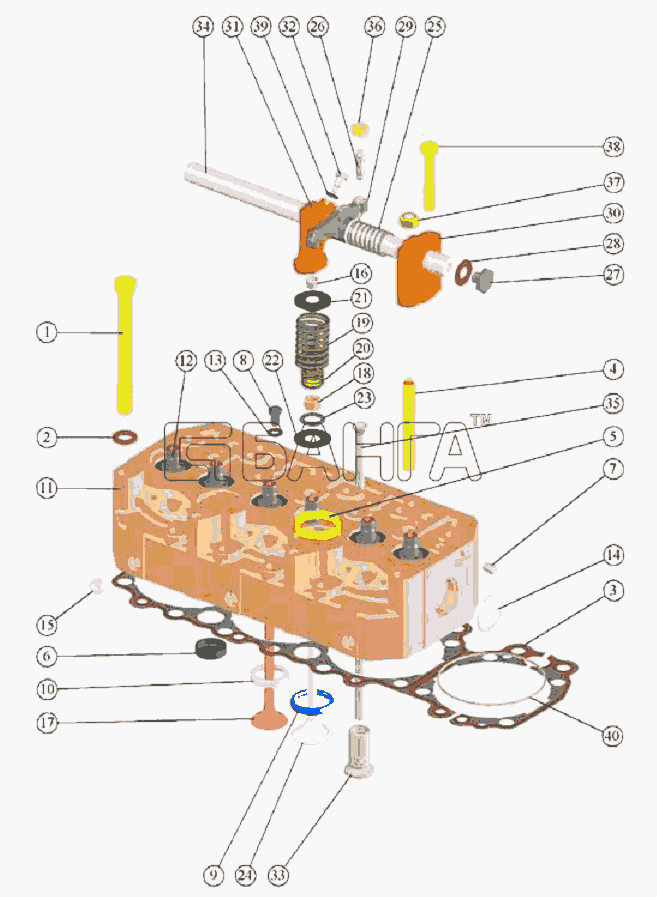 ММЗ Д 260.1(2 9) Схема Головка цилиндров. Клапаны и толкатели banga.ua