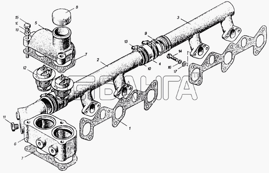ММЗ Д-260.1 Схема Водосборная труба и термостаты-22 banga.ua