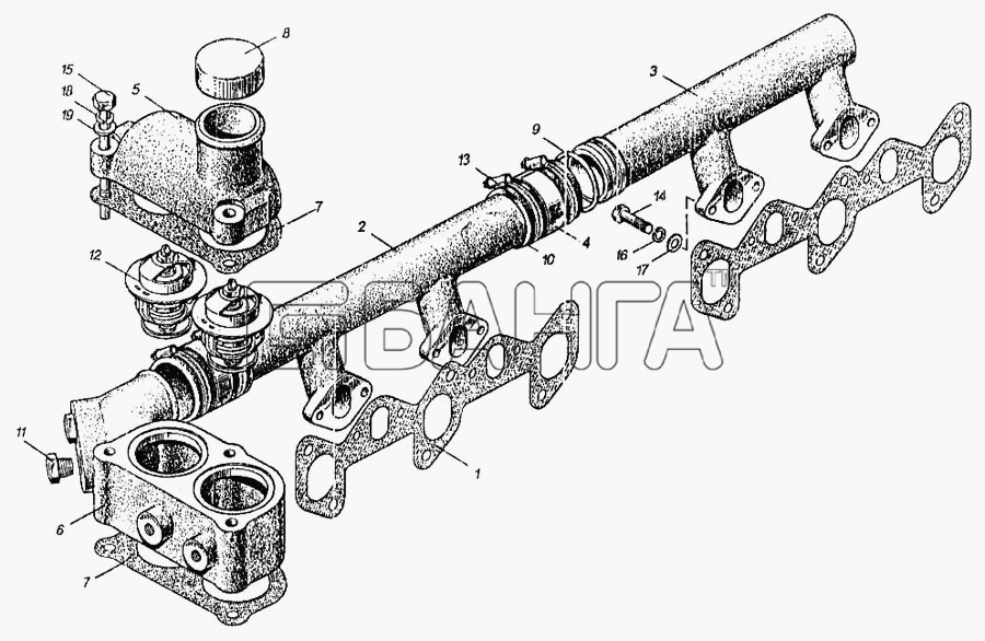 ММЗ Д-260.4 Схема Водосборная трубка и термостаты-22 banga.ua
