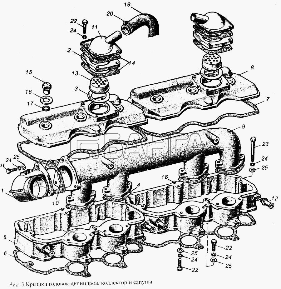 ММЗ Д-265 Схема Крышки головок цилиндров коллектор и banga.ua