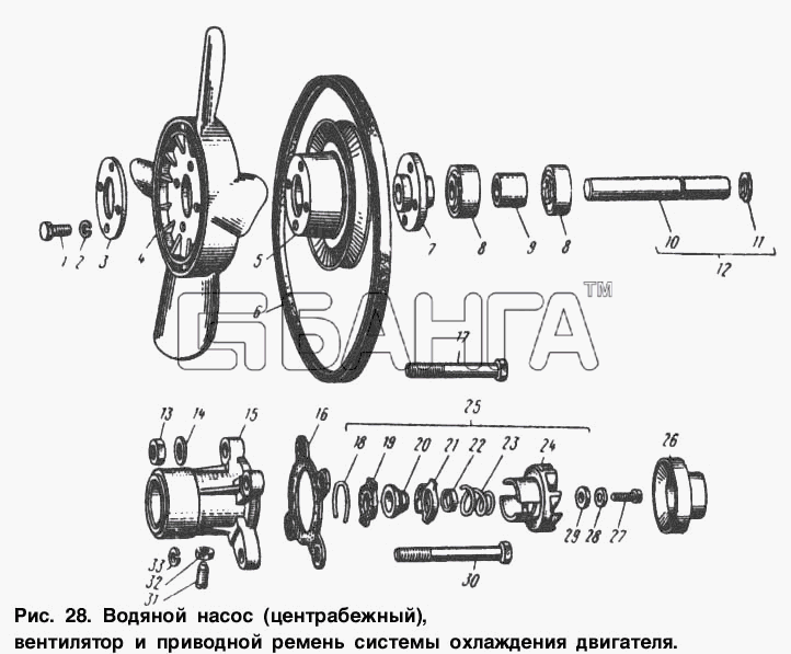 АЗЛК Москвич-2734 Схема Водяной насос (центробежный) вентилятор и