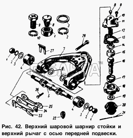 АЗЛК Москвич-2140 Схема Верхний шаровой шарнир стойки и верхний