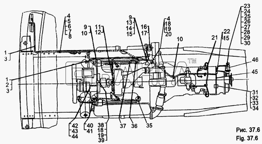 МЗКТ МЗКТ-65158 Схема Установка электрооборудования двигателя-193