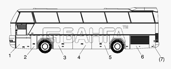 Neoplan N 116 E2 Схема FLAPS LEFT-253 banga.ua