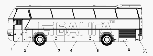 Neoplan N 116 E2 Схема FLAPS LEFT version N116 2 MAN DRIVER banga.ua