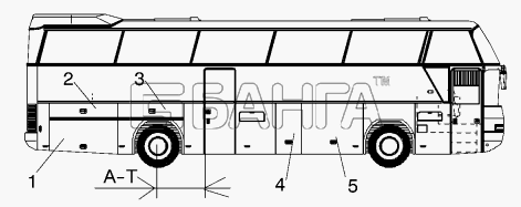 Neoplan N 116 E2 Схема FLAPS RIGHT version N116 2H DB A-T 2150