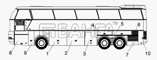 Neoplan N 116 E2 Схема FLAPS LEFT version N116 3H SERVICE FLAP-299
