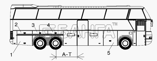 Neoplan N 116 E2 Схема FLAPS RIGHT version N116 3H A-T 1880 MM-303