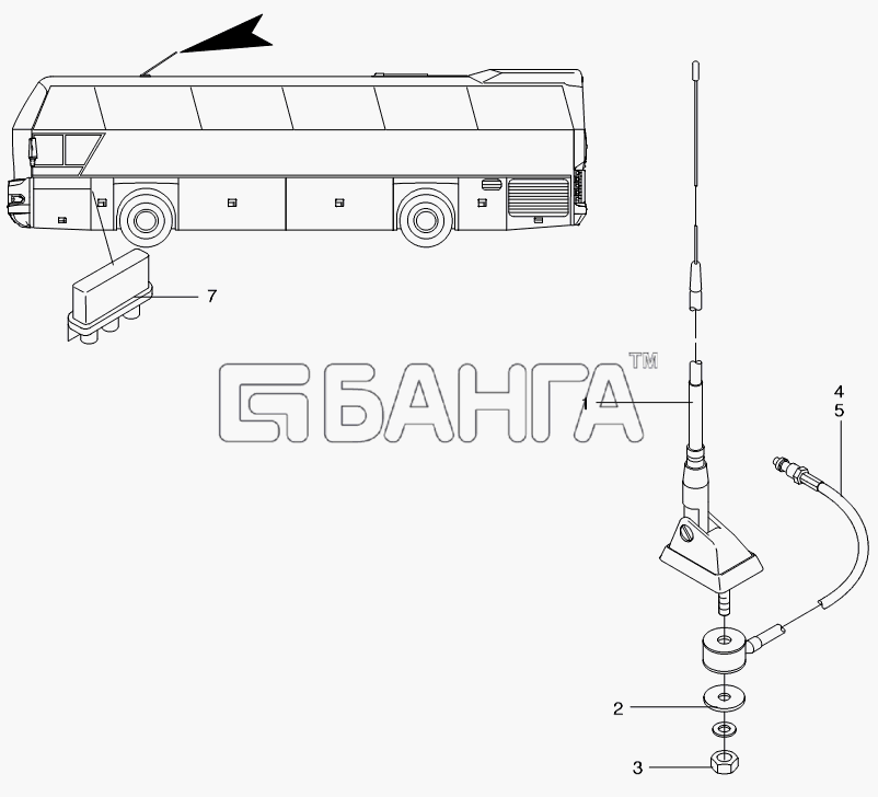 Neoplan N 116 (MAN) E3 Схема AERIAL-252 banga.ua