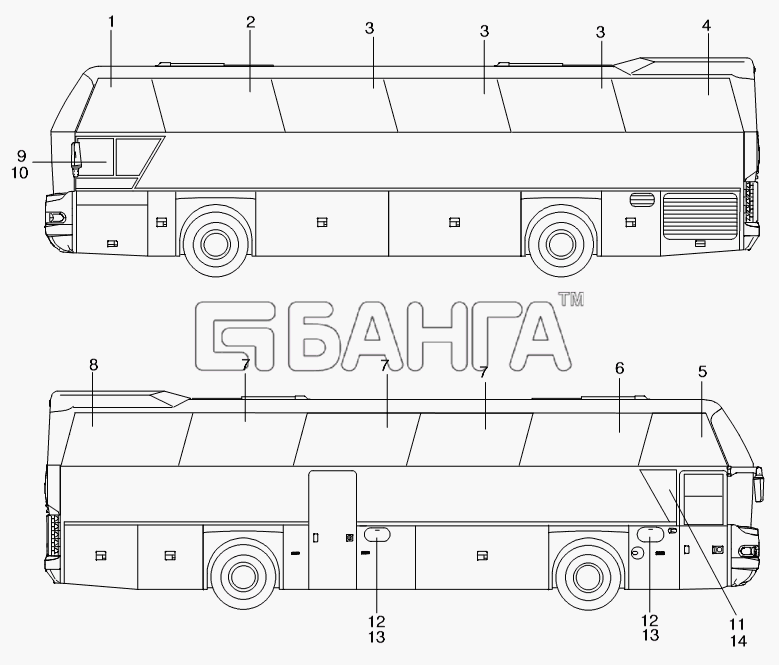 Neoplan N 116 (MAN) E3 Схема SIDE WINDOWS-351 banga.ua