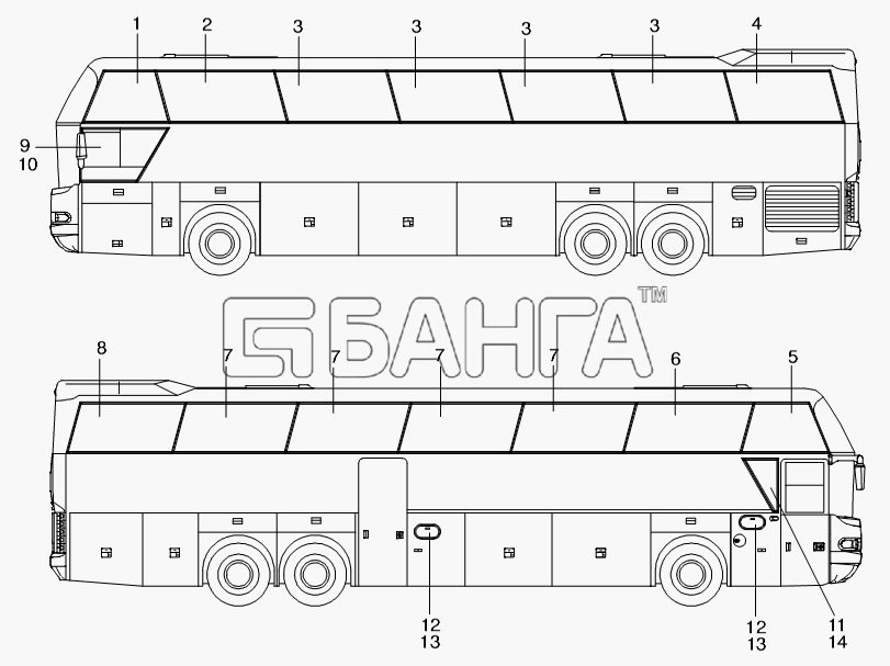 Neoplan N 116 (MAN) E3 Схема SIDE WINDOWS-353 banga.ua