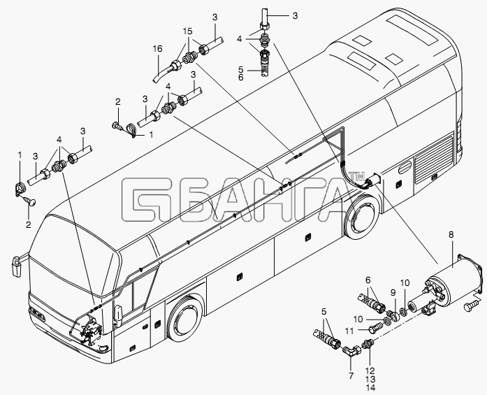 Neoplan N 116 (MAN) E3 Схема CLUTCH PARTS-76 banga.ua
