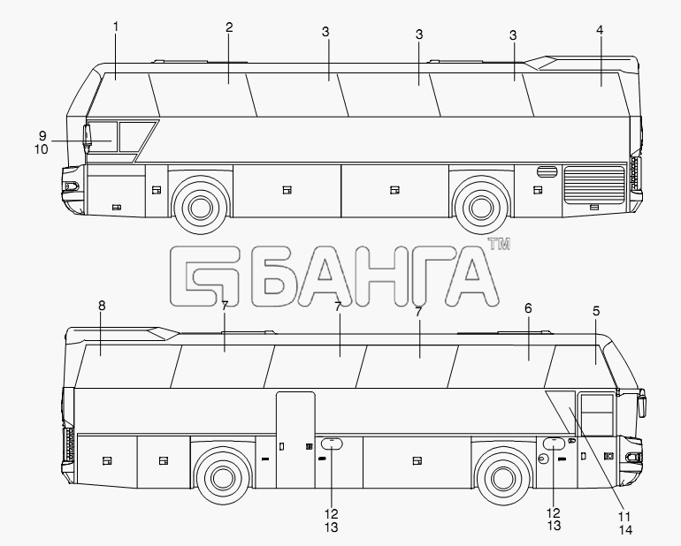 Neoplan N 116 (MAN) E3 (вар.) Схема SIDE WINDOWS-366 banga.ua