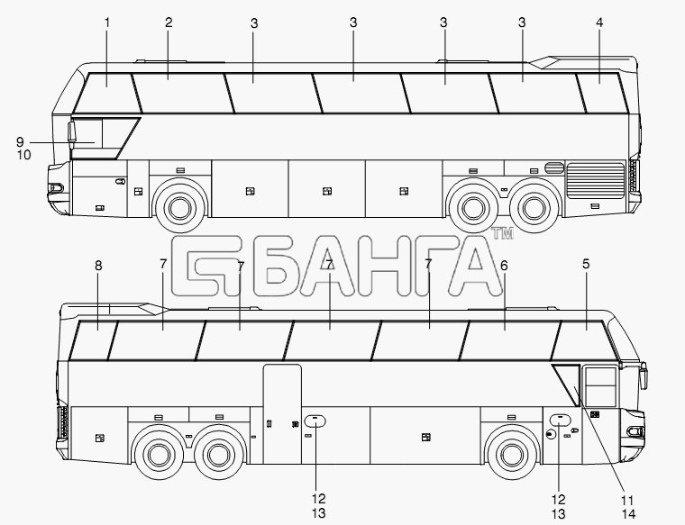Neoplan N 116 (MAN) E3 (вар.) Схема SIDE WINDOWS-368 banga.ua