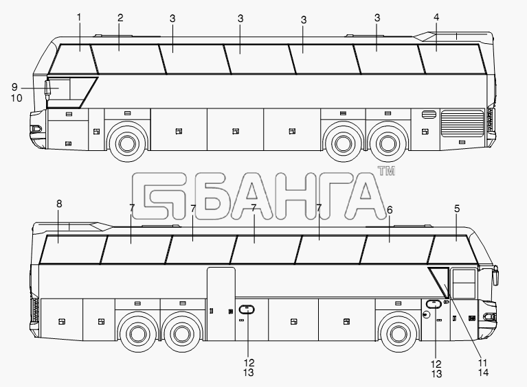 Neoplan N 116 (MAN) E3 (вар.) Схема SIDE WINDOWS-369 banga.ua