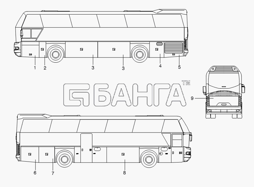 Neoplan N 116 (MAN) E3 (вар.) Схема SERVICE DOORS-376 banga.ua