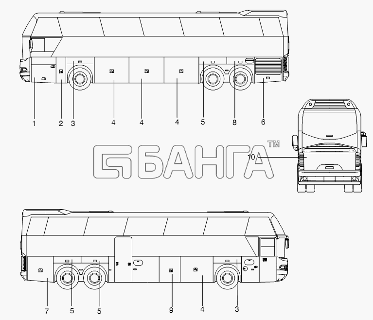 Neoplan N 116 (MAN) E3 (вар.) Схема SERVICE DOORS-381 banga.ua