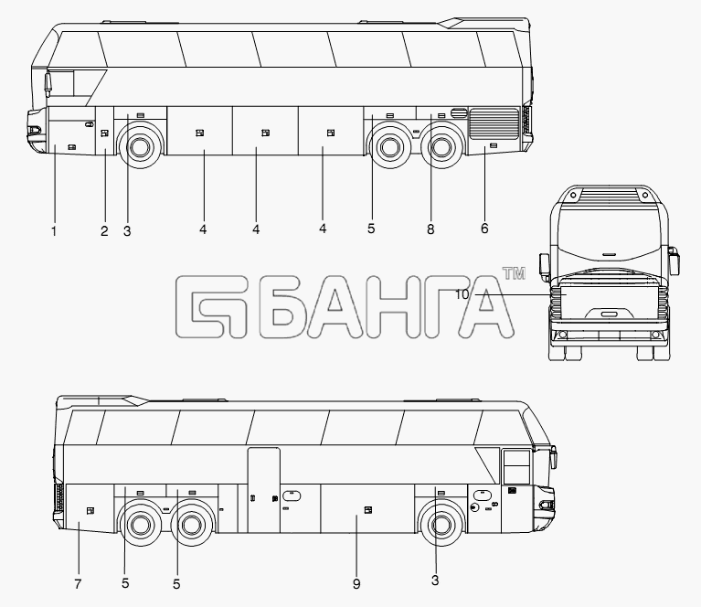 Neoplan N 116 (MAN) E3 (вар.) Схема SERVICE DOORS-382 banga.ua