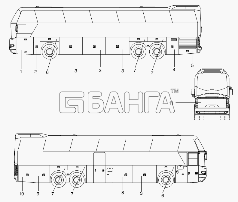 Neoplan N 116 (MAN) E3 (вар.) Схема SERVICE DOORS-383 banga.ua