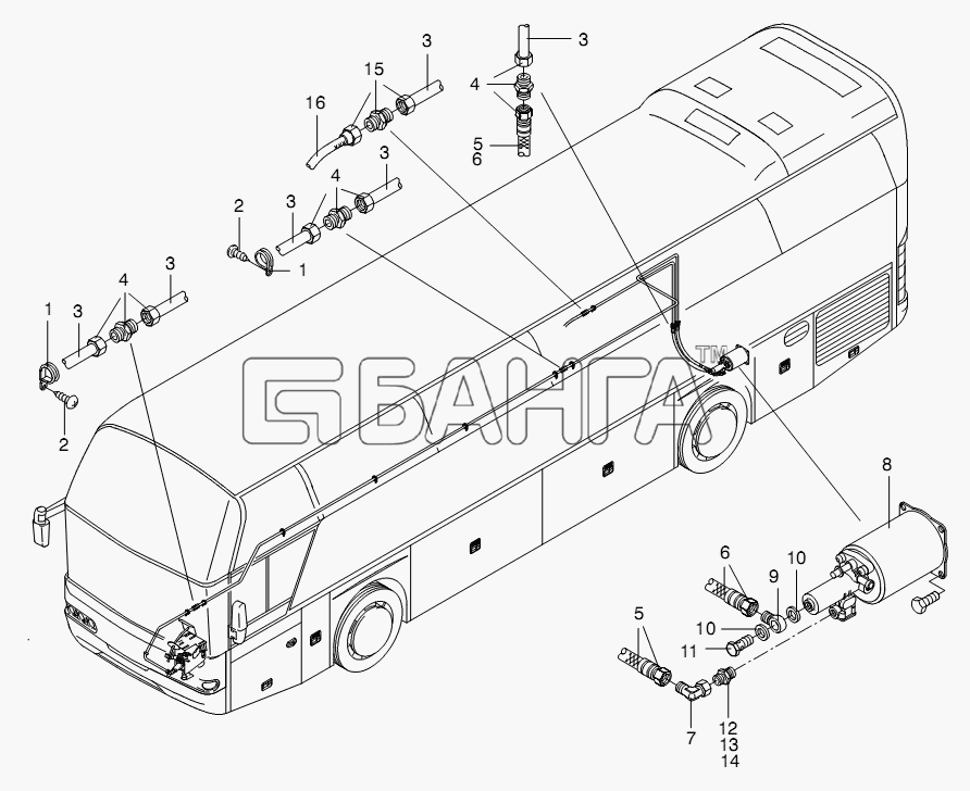 Neoplan N 116 (MAN) E3 (вар.) Схема CLUTCH PARTS-74 banga.ua