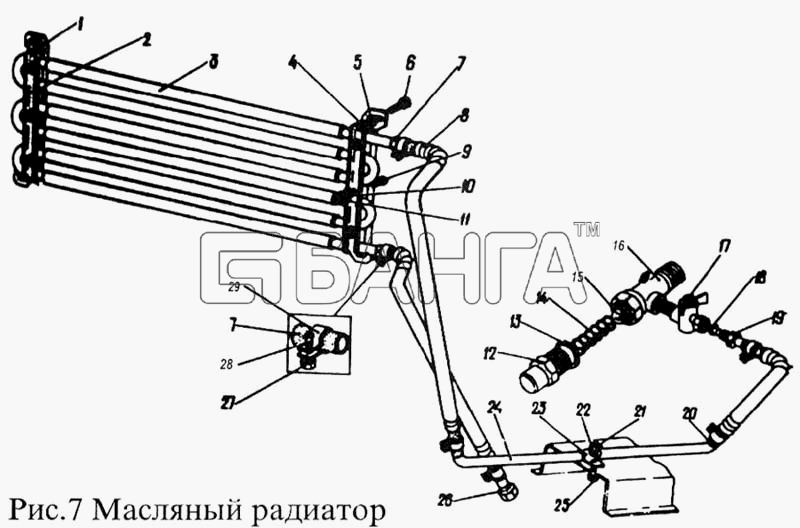 ПАЗ ПАЗ-3205 Схема Масляный радиатор-42 banga.ua