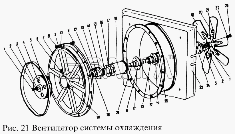 ПАЗ ПАЗ-3205 Схема Вентилятор системы охлаждения-59 banga.ua