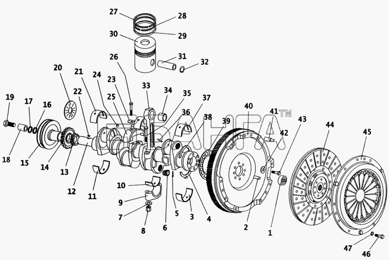 ПАЗ ПАЗ-4230 Схема Поршни коленчатый вал маховик и диски banga.ua