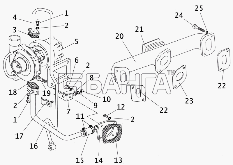 ПАЗ ПАЗ-4234 Схема Коллектор выпускной и маслопроводы banga.ua
