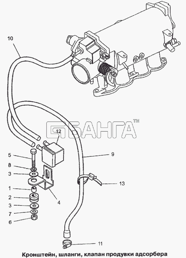 Daewoo Lanos Схема Кронштейн шланги клапан продувки-66 banga.ua