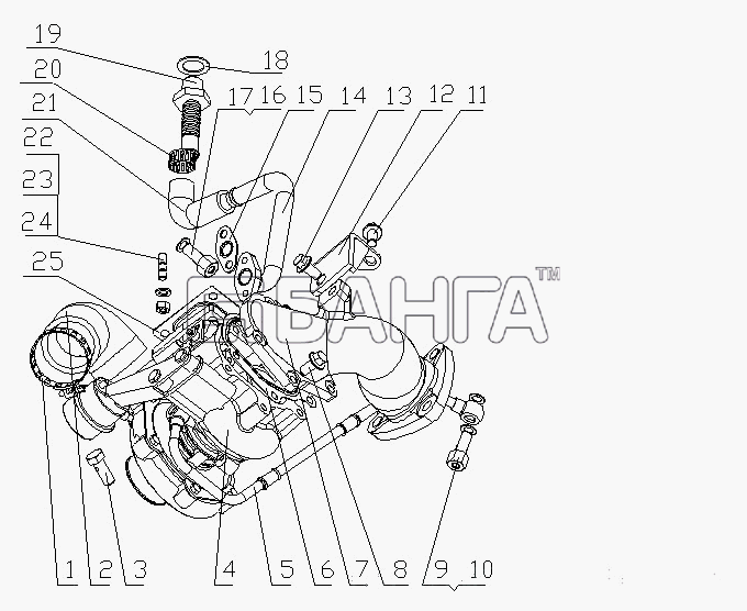 Yuchai YC4D120-20 (D1007) Схема D0809-1118000 Турбонагнетатель в