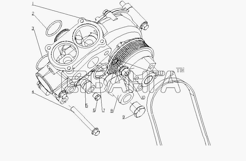 Yuchai YC6L280-30 (L38MA) Схема L36MA-1307000 Водный насос в сборе-28