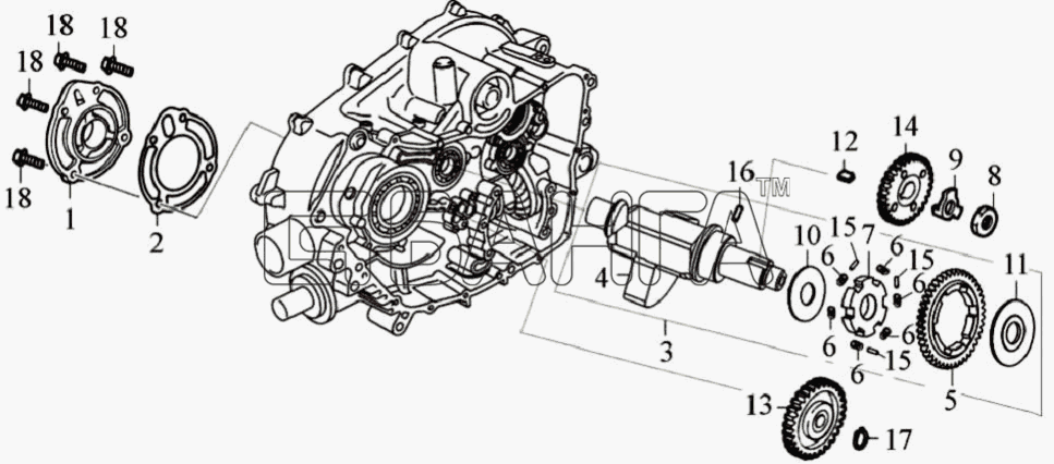 ЗиД Двигатель 185 MQ Схема Уравновешивающий вал и правая малая