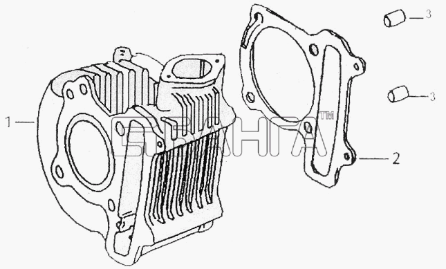 ЗиД Двигатель 1P52QMI-2B Схема Цилиндр-9 banga.ua