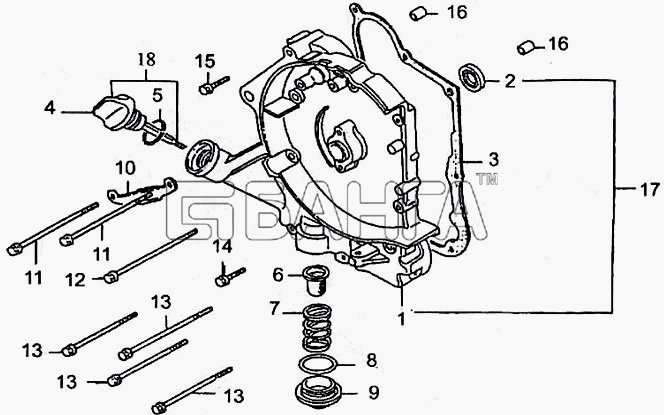 ЗиД Двигатель 1P57QMJ Схема Крышка картера правая-6 banga.ua