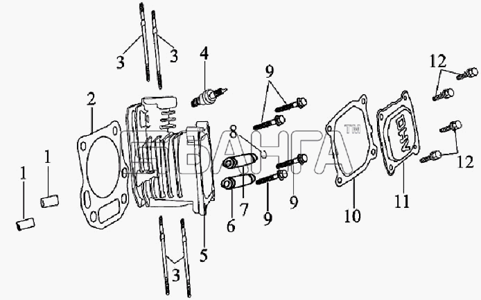 ЗиД Двигатель 1P64FV Схема Головка цилиндра с крышкой в сборе-5