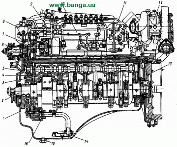 Продольный разрез двигателя КрАЗ-6437, КрАЗ-260