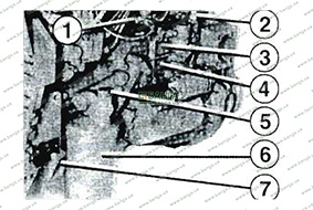 Частичный обзор левой части двигателя MAN M 2000 