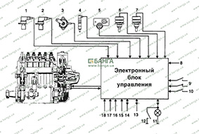 Схема системы EDC MS 5 MAN M 2000 