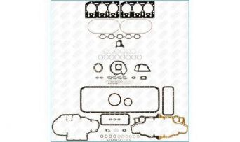 Фото : 50198200 | Прокладки (компл.) FULL DAF TRUCK WS315 (пр-во Ajusa)