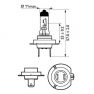 Фото: 12972LLECOB1 | Лампа розжарювання H7 12V 55W PX26d LongerLife Ecovision 1шт blister (вир-во Philips)